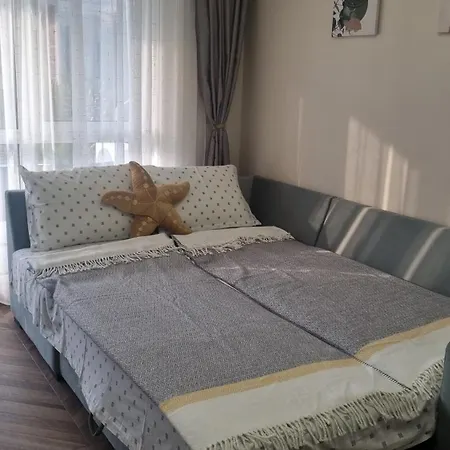 амира за гости - Amira Guest *