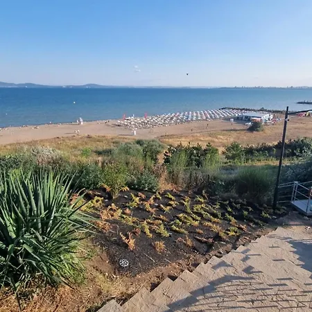 амира за гости - Amira Guest