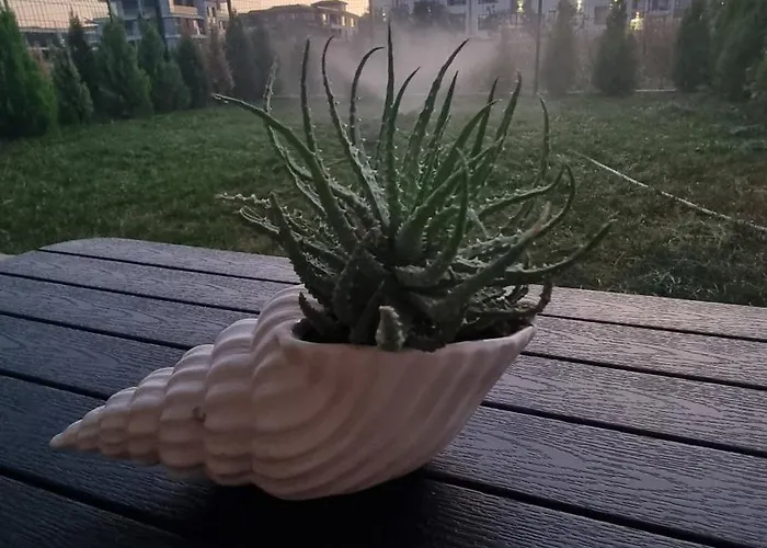 아파트 амира за гости - Amira Guest 부르가스